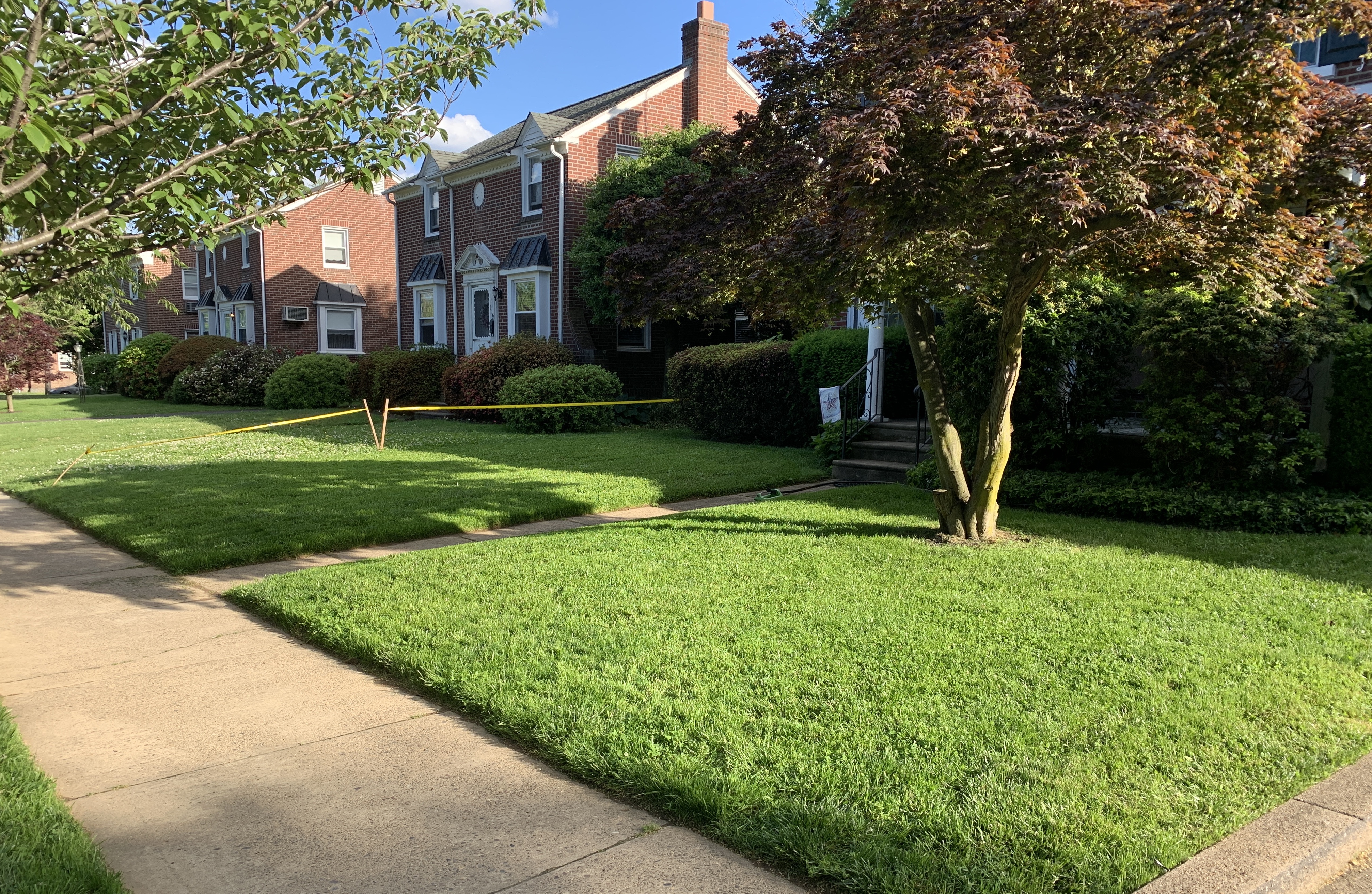 Freshly mowed lawn with clean edges on a sunny day