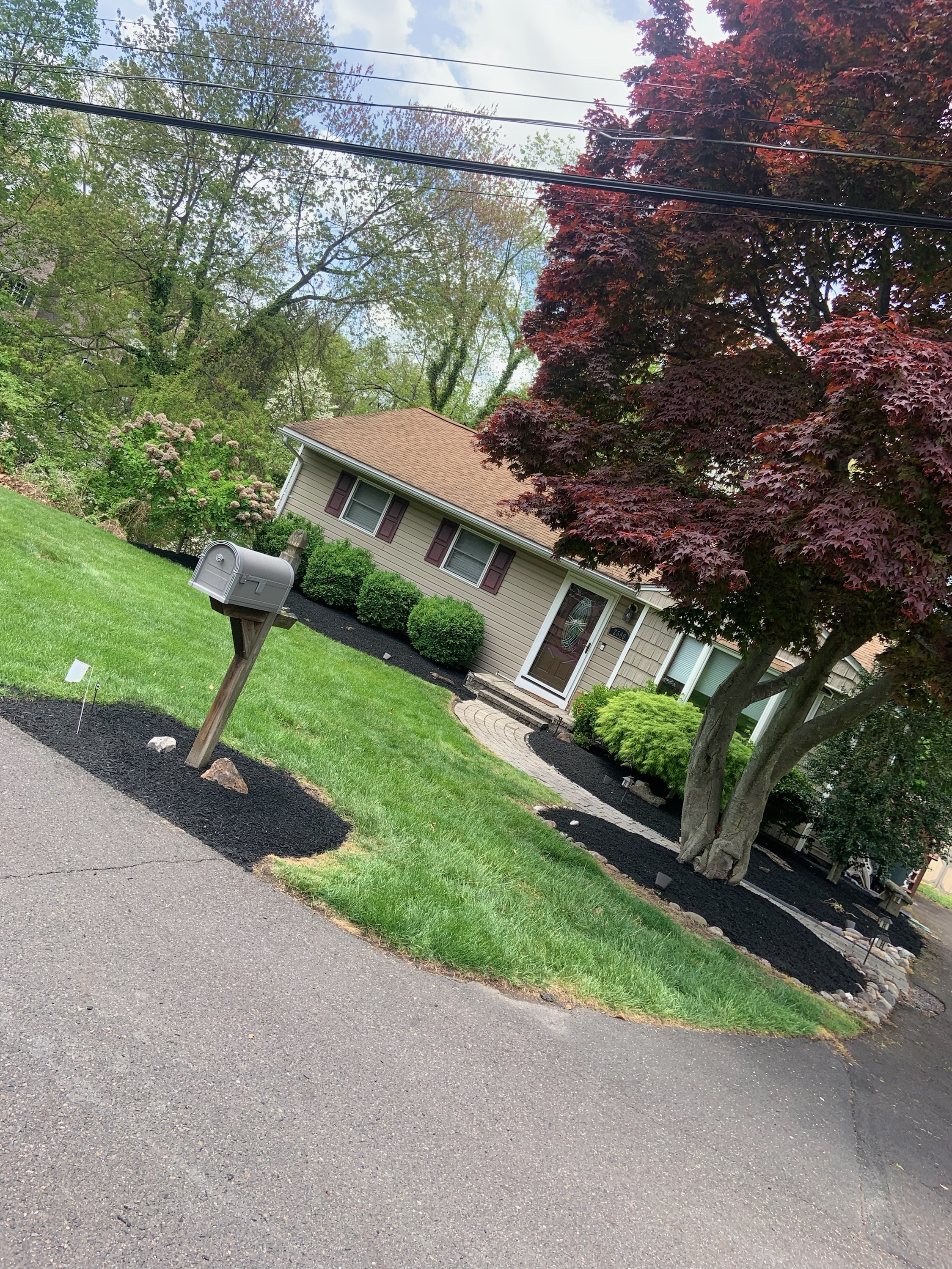 Full property view with mulch beds and shaped shrubs