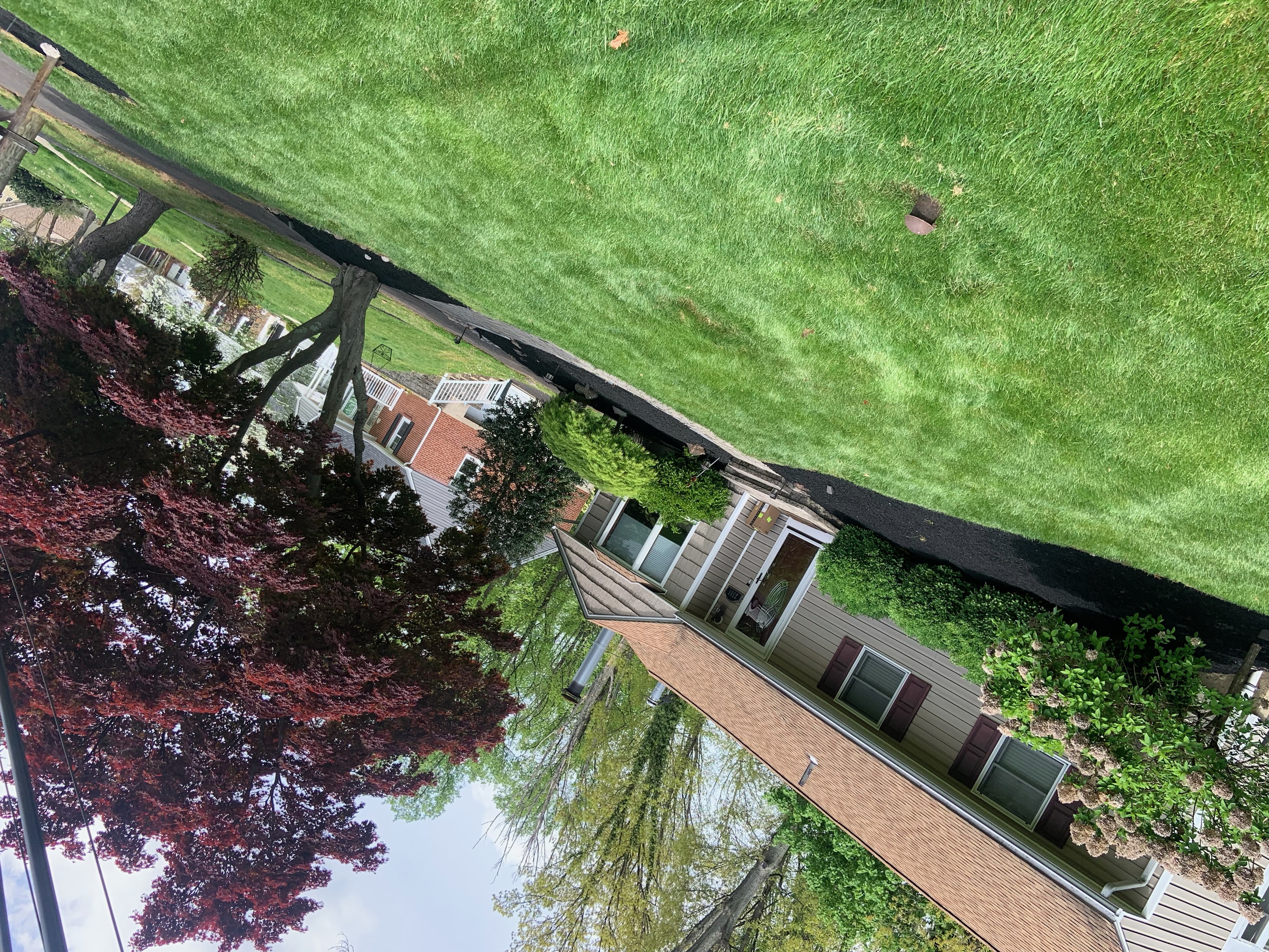 Walkway with mulch and trimmed plantings