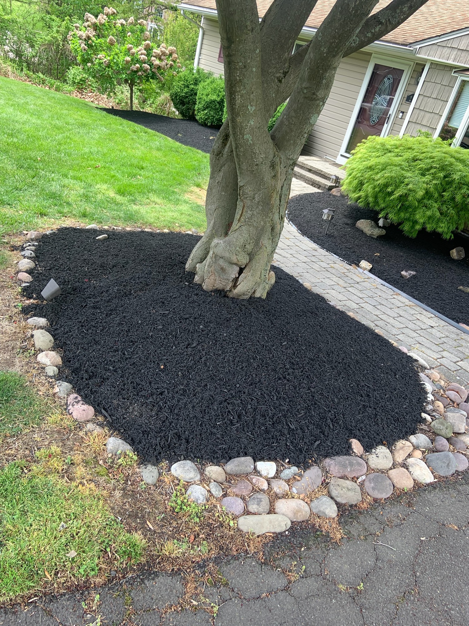 Tree base with fresh mulch and decorative river rock edging