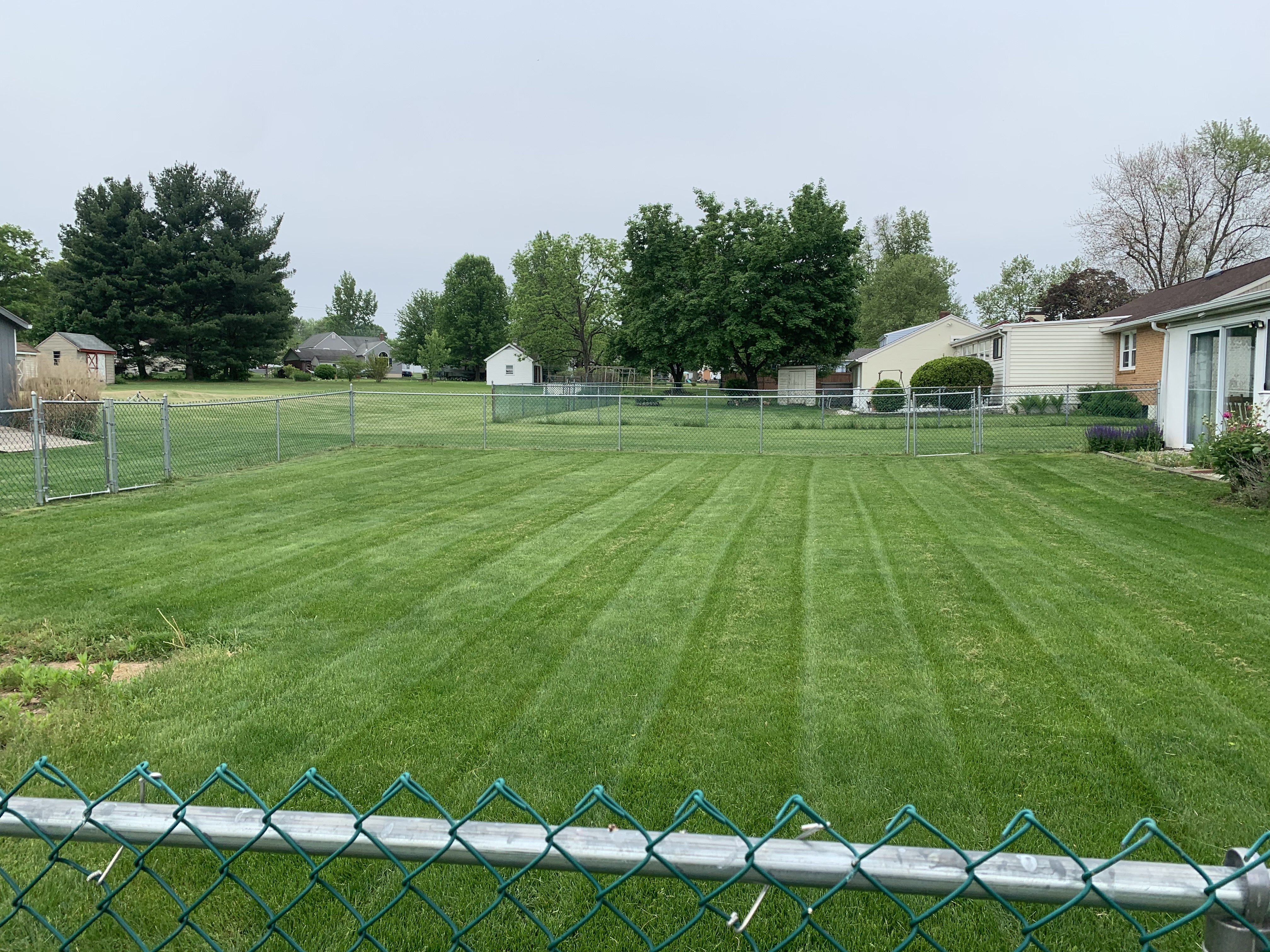 Large backyard with professional mowing stripes