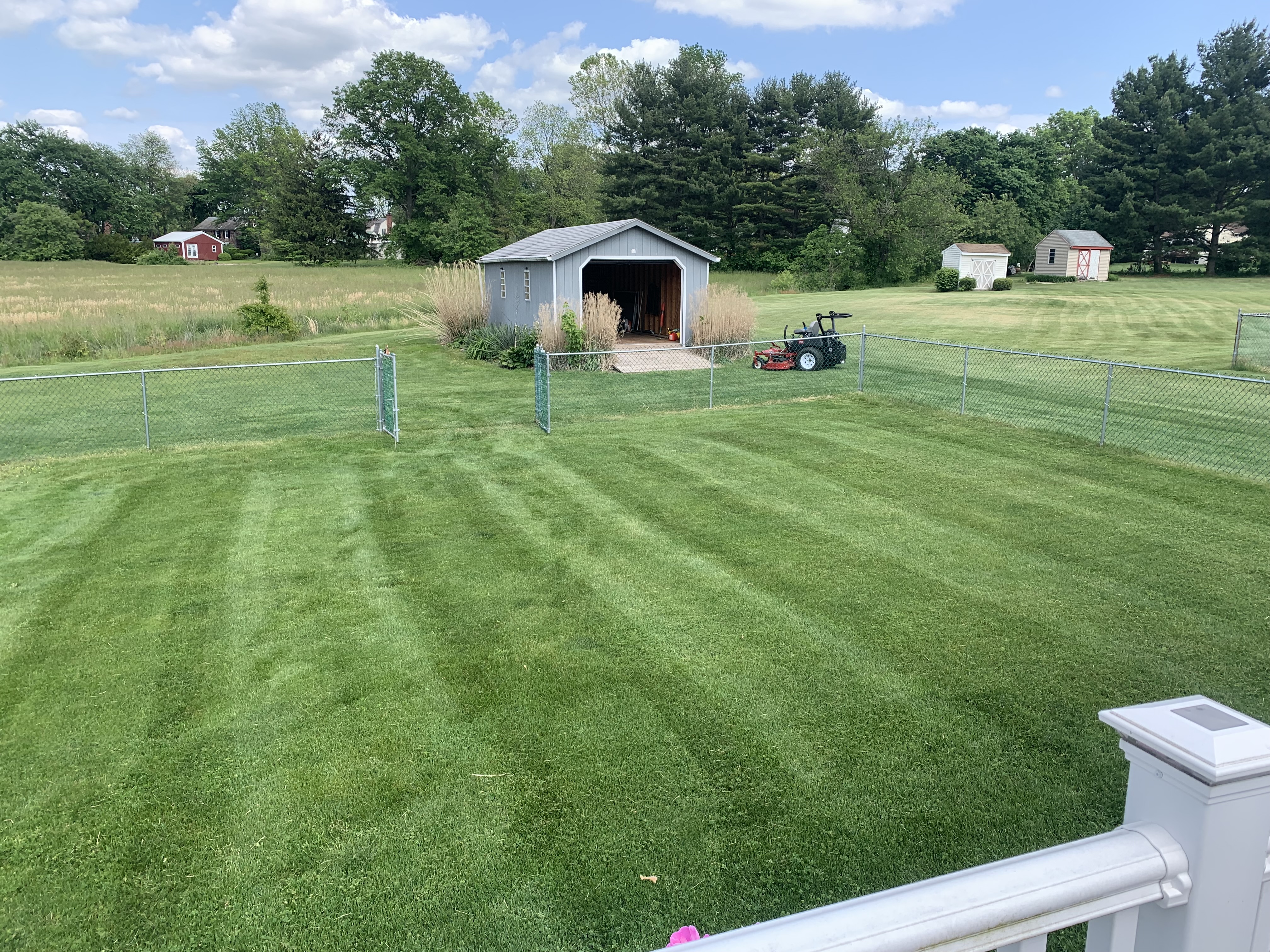 Front lawn with mowing stripes at brick home