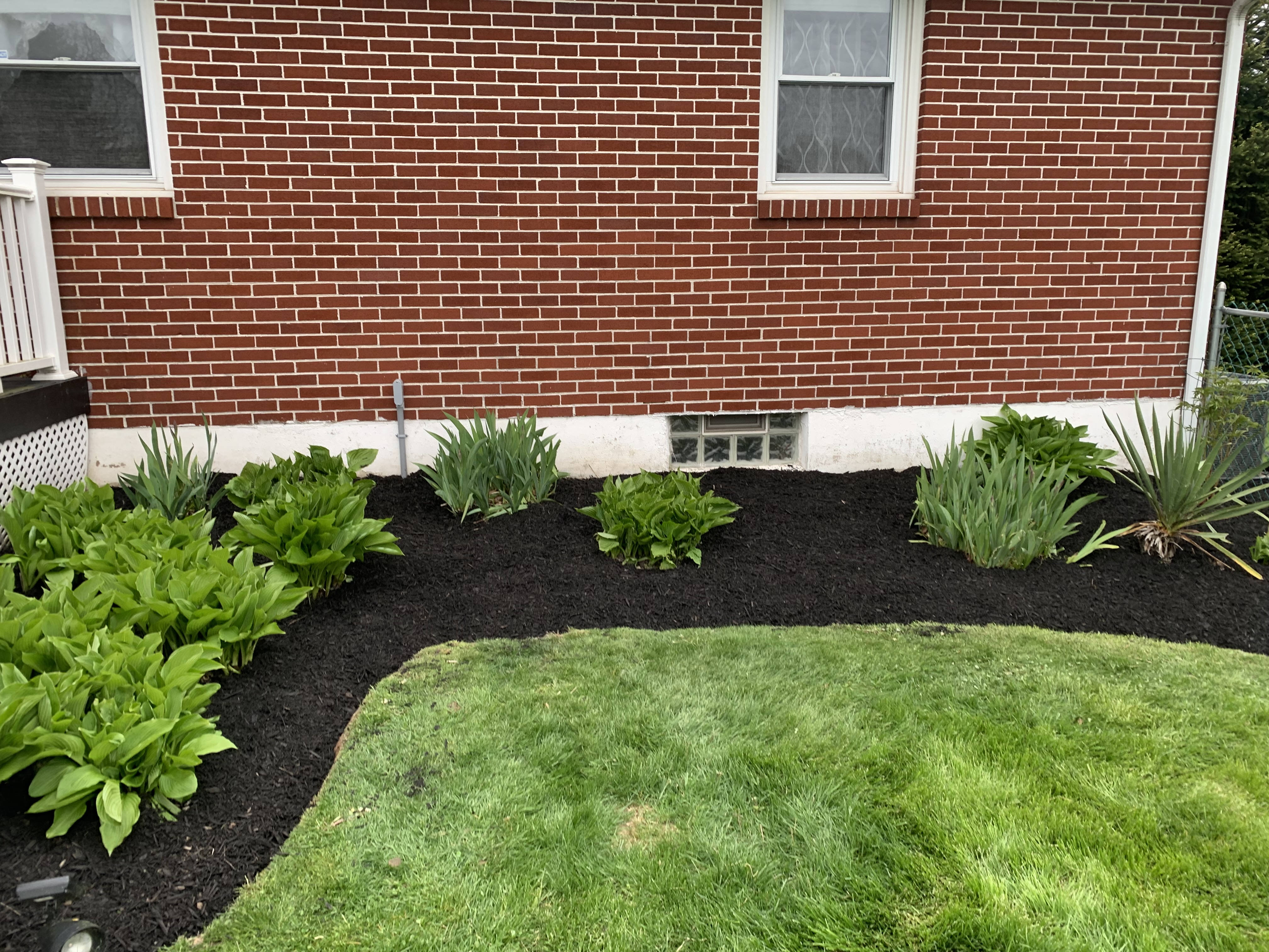 Side foundation bed with hostas and fresh black mulch