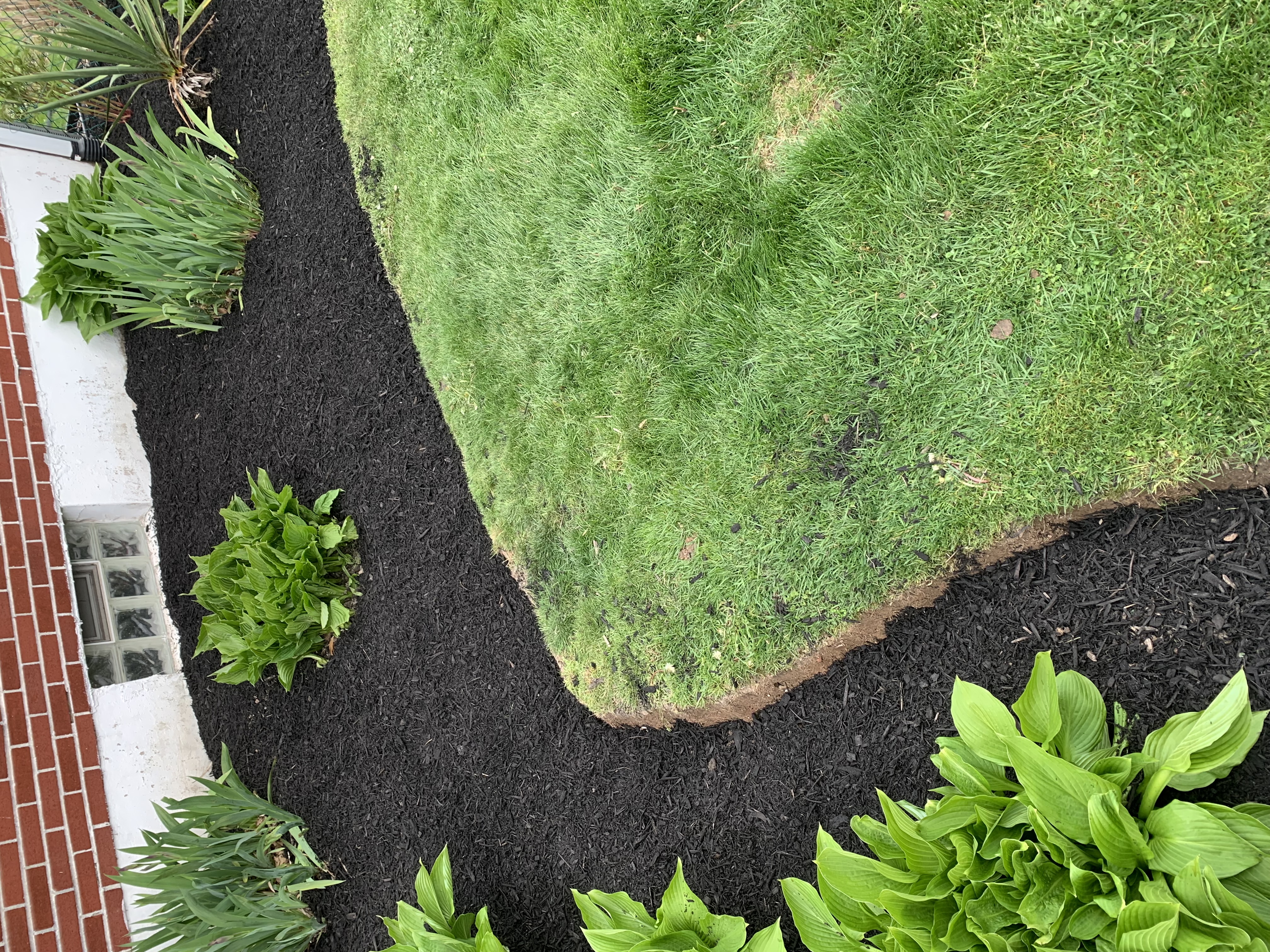 Full side yard bed with mulch and plantings
