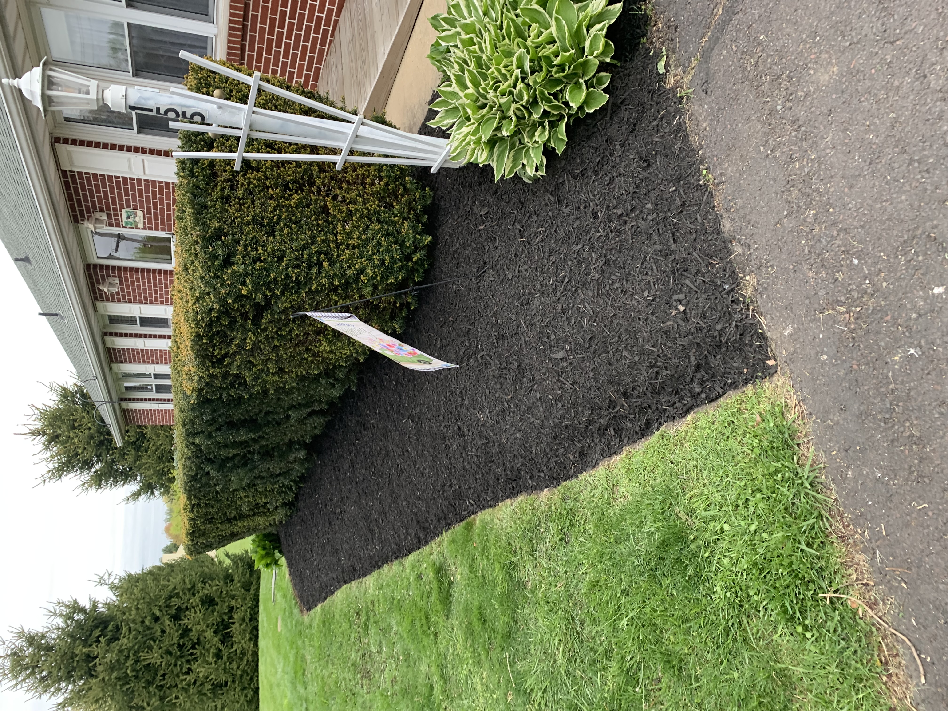 Side bed with trimmed evergreens and hosta