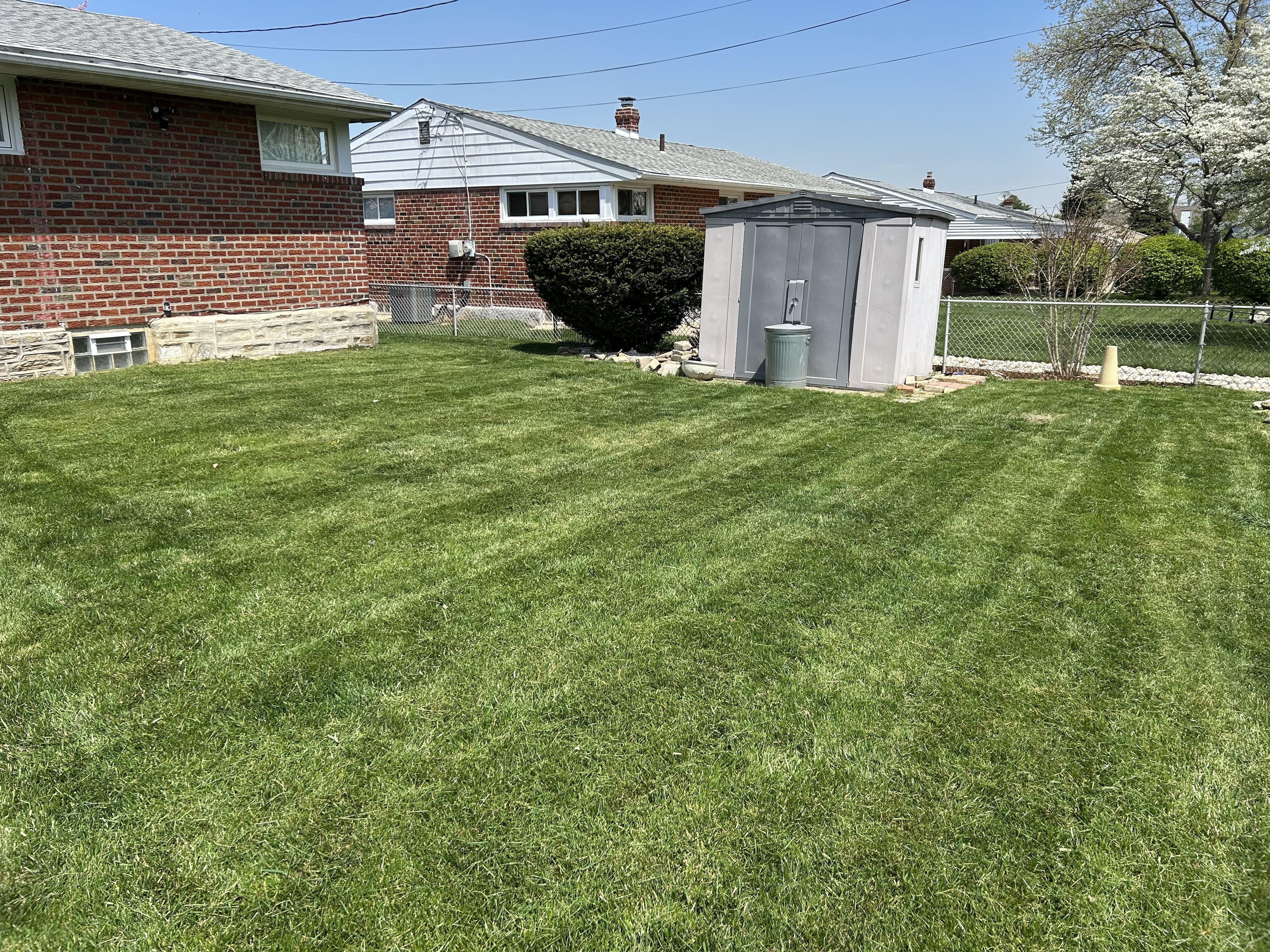 Backyard with mowing stripes and storage shed