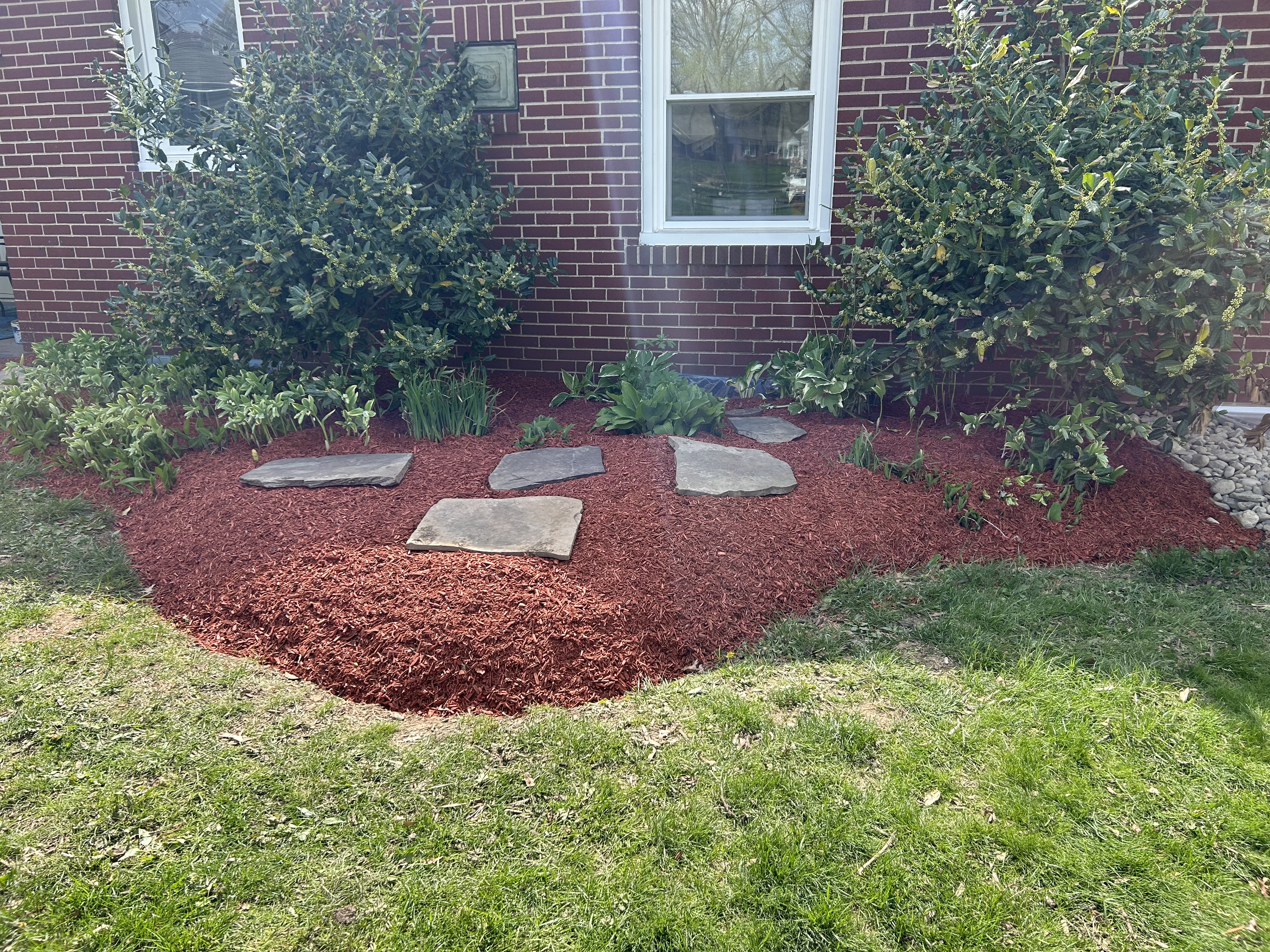 Side bed with red mulch, stepping stones, and shrubs