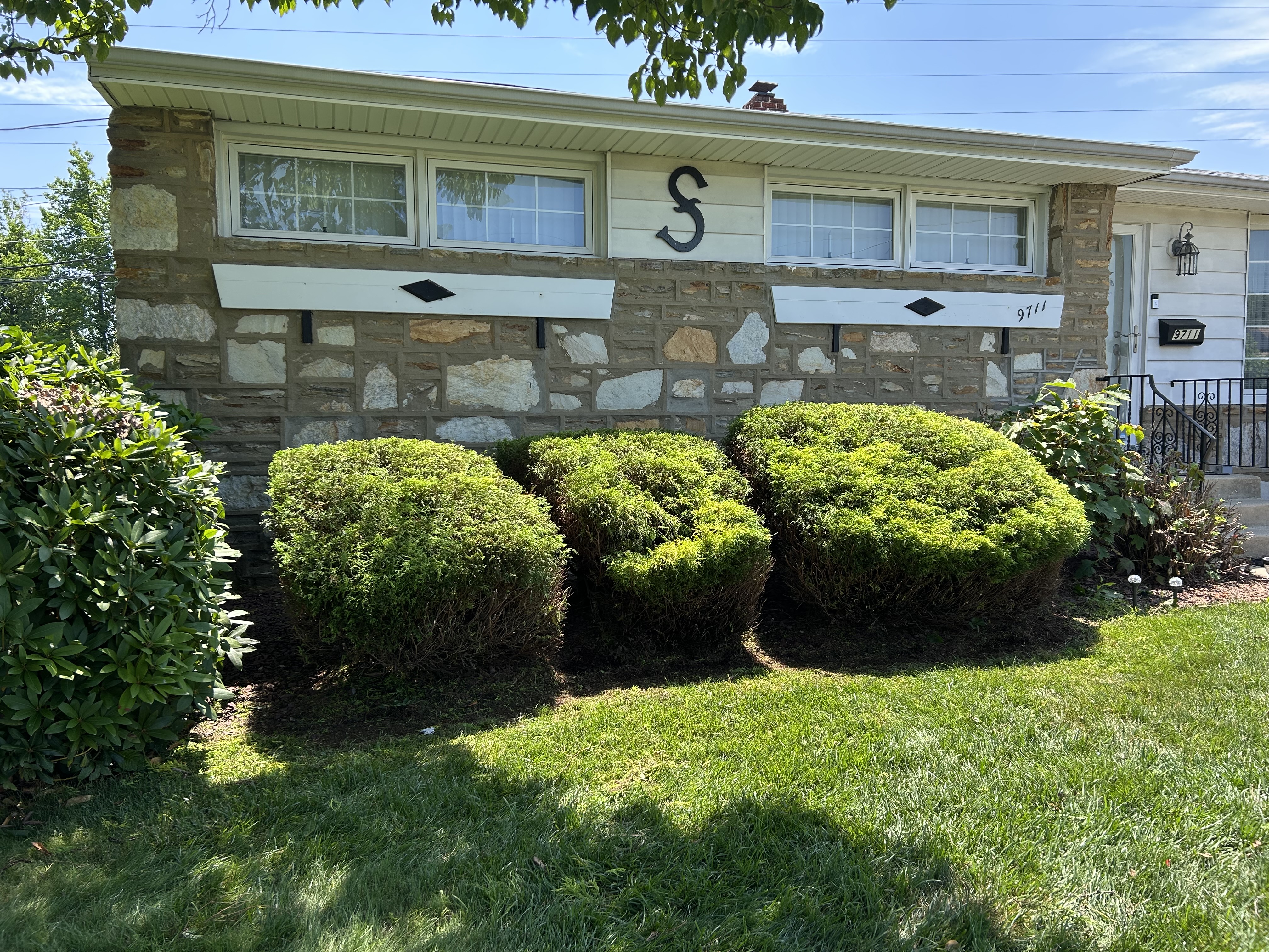 Same shrubs after professional shaping into clean forms